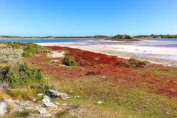 Pink salt lake, Rottnest Island, Western Australia 