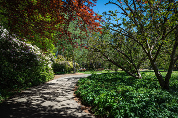 path in the park