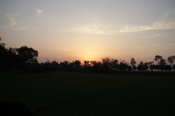 Obraz premium Sunset in Village