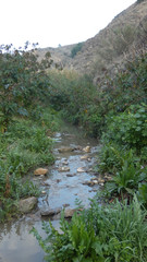 Water running slowly down rural river bed