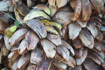 Agricultural waste.  Pile of discarded coconut husks in rural Bali Indonesia
