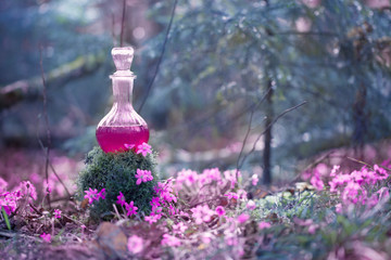 magic potion in bottle in  fairy forest