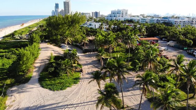 Descending drone shot of Miami beachside on to sandy area with palm trees in foreground.