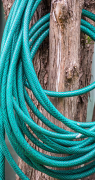 Rolled green nylon garden hose pipe looped around a branch image in vertical format
