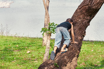  girl who is determined to climb a tree and is determined         
