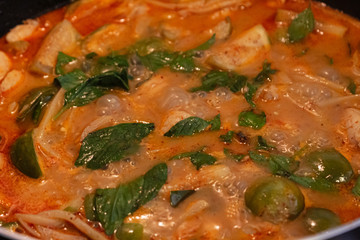 Thai traditional food. Delicious homemade Panang curry with chicken