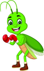 Funny Cute Green Grasshopper Wear Red Boxing Gloves and Brown Shoes Cartoon