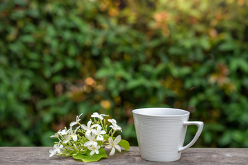 Obraz na płótnie Canvas Cup coffee, Holarrhena pubescens flower on wooden table.