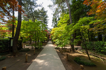 日本庭園