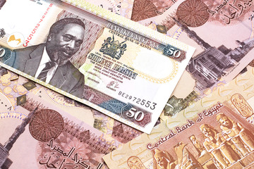 A close up image of a fifty Kenyan shilling bank note in macro with Egyptian one pound bank notes
