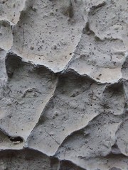 abstract  cement  motar gray rugged nave green