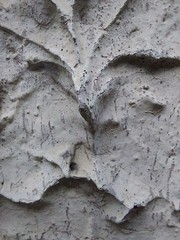 abstract  cement  motar gray rugged nave green