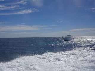 Rottnest island in Perth, Australia