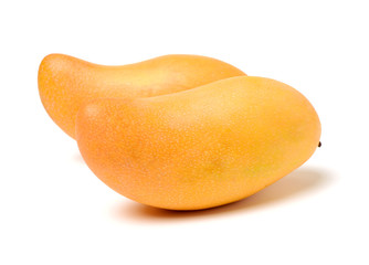 Mango on a white background