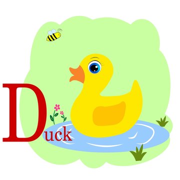 D word for duck animal alphabet illustration 