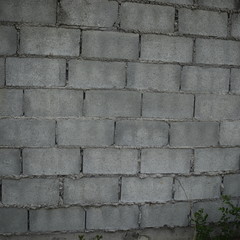 old brick wall background