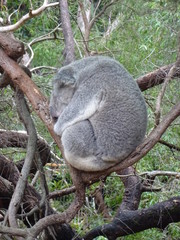 Perth Zoo in Perth City, Australia