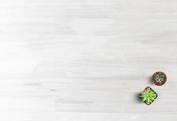 Top view cactus on white table in office work spec