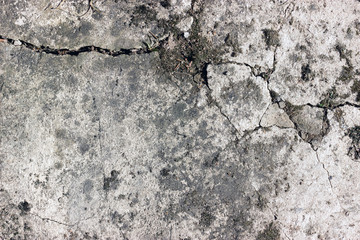 texture and background of a concrete wall with cracks and plants, a place for designer's ideas and advertising