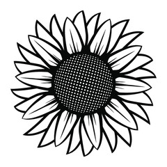 Sunflower illustration in black and white on isolated background