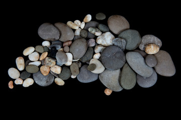  Stones and shells on a black background, marine still life