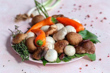 Variety of uncooked wild forest raw mushrooms