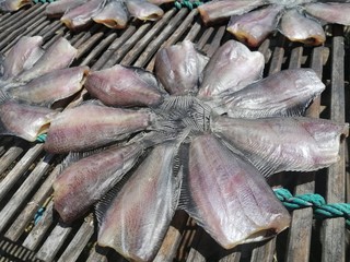 Dried fish is a food preservation.