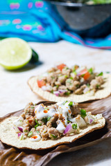 Vegetarian Vegan Soy Protein Ceviche, Mexican Veggie Cuisine