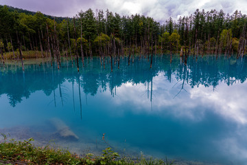 青い池の青
