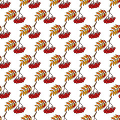 Autumn seamless pattern with hand drawn rowan