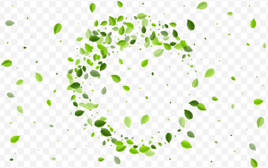 Lime Leaves Vector Pattern. Mint Foliage 