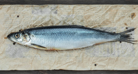 Healthy seafood, one whole salted atlantic herring on parchment paper, top view. Counter with fish in the market, wholesome diet food.