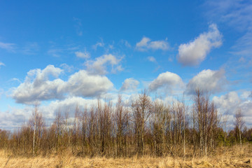 Fototapeta na wymiar Landscape with clouds in spring