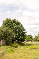 Green meadow with trees and houses far away. Small town
