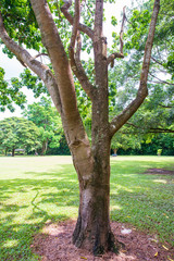 オーストラリアの公園