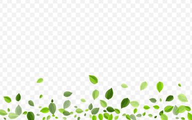 Olive Greens Vector Border. Swamp Leaves Motion 