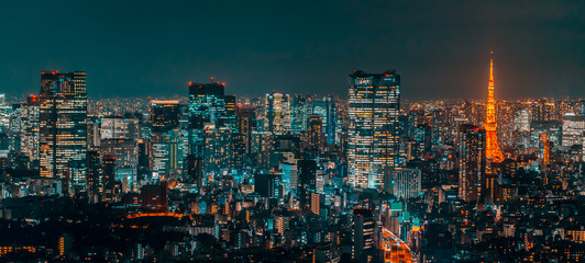 Night view of Tokyo Japan 東京の夜景
