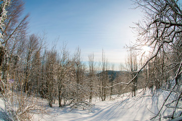 clearing in the winter mountains on a sunny day for outdoor activities and walks