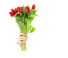 Hand of the woman is holding bouquet of tulips inserted through a hole in torn white paper. Copy space.
