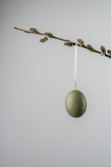 Green easter egg hanging from a willow twig with catkins