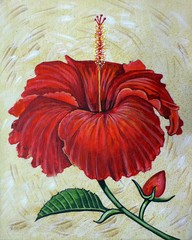 Art  painting    oil  color background   hibiscus  flower  From  Bangkok Thailand