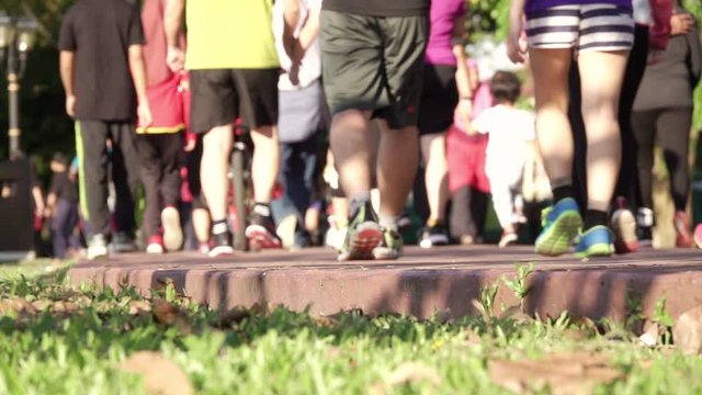 Runners in the Morning Summer Park. Slow Motion