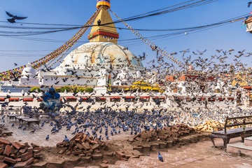 March 25, 2020. Kathmandu, Nepal. The Stupa Boudha closed on quarantine. A large flock of pigeons...