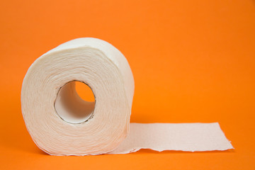 One Toilet Roll on Orange Background