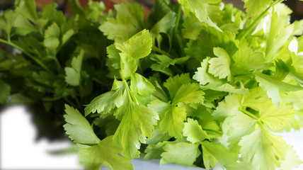 Meny green fresh celery.