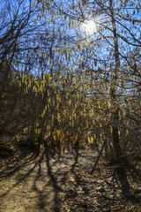 Fototapeta premium Paysage d'hiver dans les Abruzzes en Italie