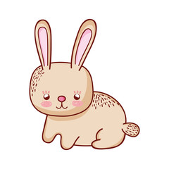 cute little rabbit animal cartoon isolated icon design