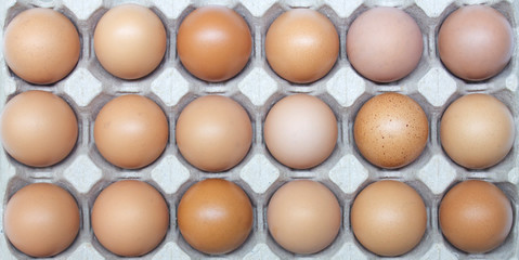  Top view Chicken eggs in carton box