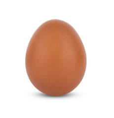 chicken egg isolated on white background