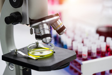 Coronavirus Vaccine Research in Laboratory